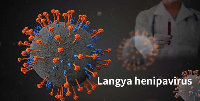 Scientists discovered Langya henipavirus