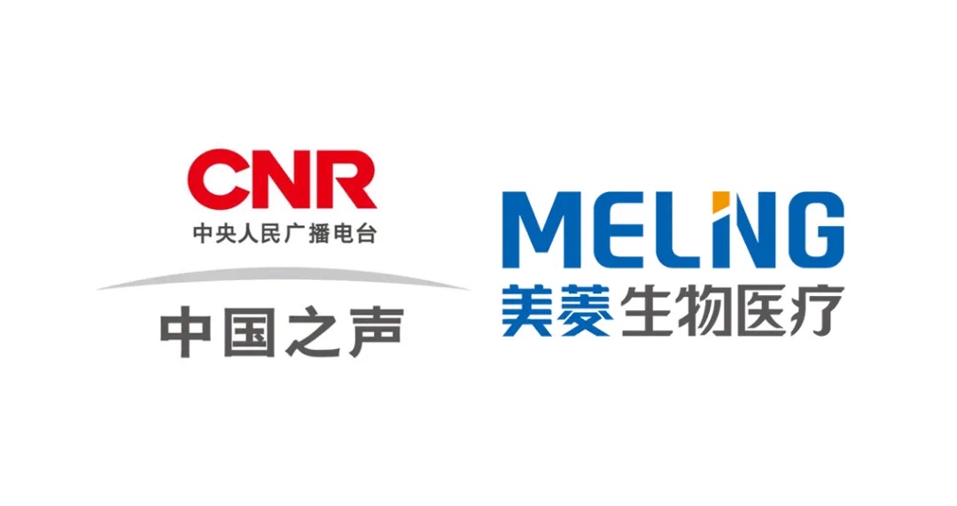 中国国家广播电台采访梅尔